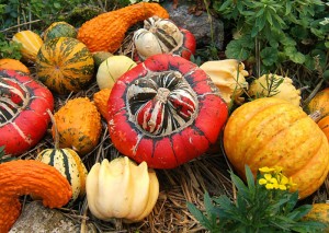 El Euríbor florece un mes para darnos las calabazas de fin de curso