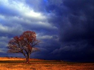 El Euríbor, las hipotecas y nuestros bolsillos siguen aguantando el tipo en mitad de la tormenta económica