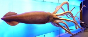 El swap es como el calamar gigante: desconocido, inquietante y asqueroso al mismo tiempo