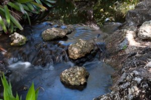 Las aguas vuelven a su cauce