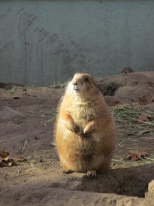 El otro gordo de Navidad