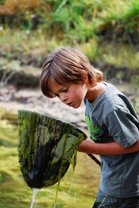 A río revuelto ganancia de pescadores