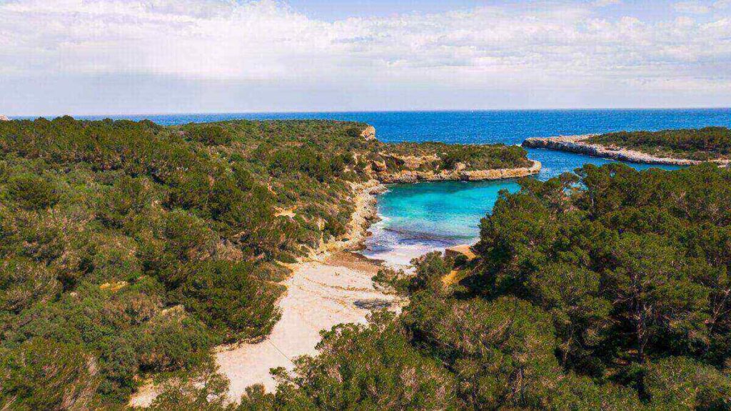Masificación turística en Baleares: Desafíos, impacto real y el camino hacia un modelo sostenible